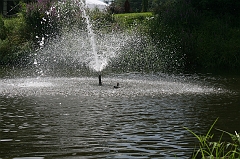 IMG_000029