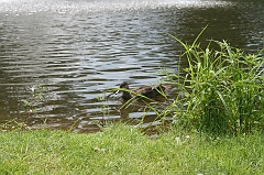 IMG_000032