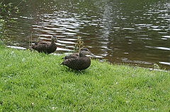 IMG_000043