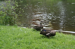 IMG_000045