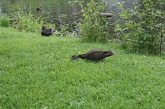 IMG_000046