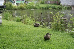IMG_000047