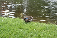 IMG_000048