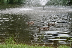 IMG_000049