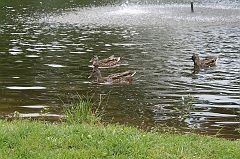 IMG_000050