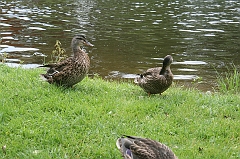 IMG_000055