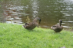 IMG_000056
