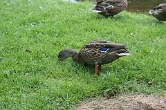 IMG_000057