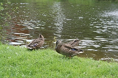 IMG_000059
