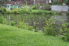 IMG_000060