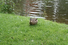 IMG_000065