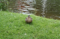 IMG_000067