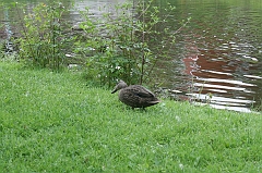 IMG_000070