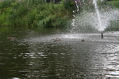 IMG_000071