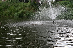 IMG_000072