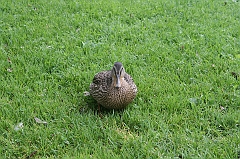 IMG_000090