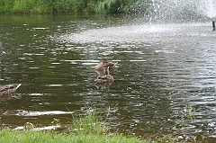 IMG_000092