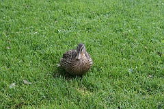 IMG_000094