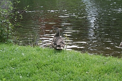 IMG_000095