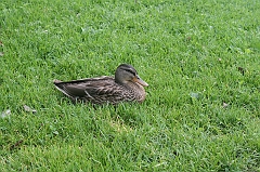 IMG_000100
