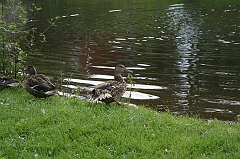 IMG_000103