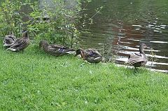 IMG_000104