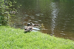 IMG_000139