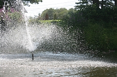 IMG_000150