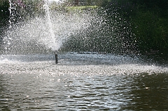 IMG_000151