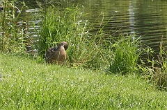 IMG_000159