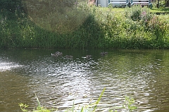 IMG_000160