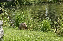 IMG_000161
