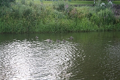 IMG_000162