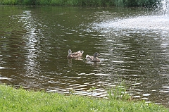 IMG_000164