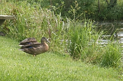 IMG_000165