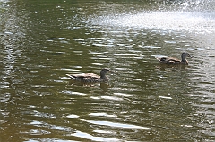 IMG_000168