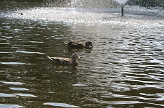 IMG_000169