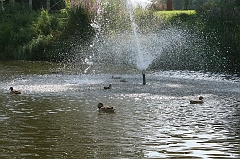 IMG_000178