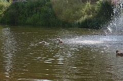 IMG_000179