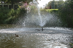 IMG_000181