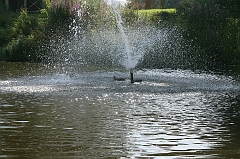 IMG_000182