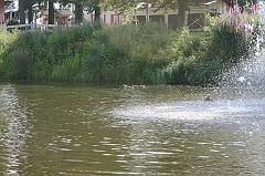 IMG_000183
