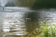 IMG_000185