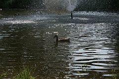 IMG_000186