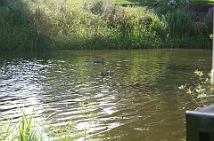 IMG_000187