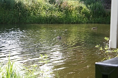 IMG_000189