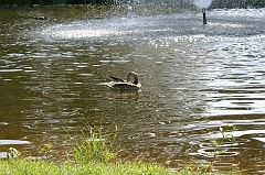 IMG_000190