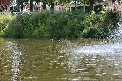 IMG_000192
