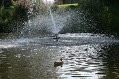 IMG_000193