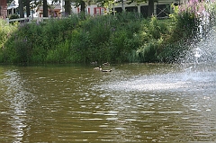 IMG_000195